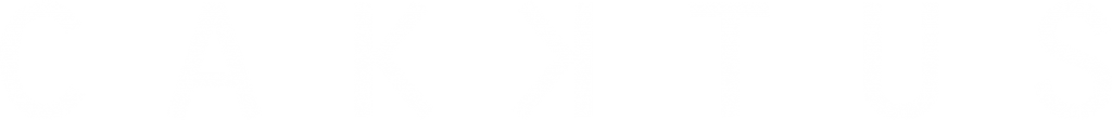 Logo qui renvoie vers le site de Cakktus agence de communication
